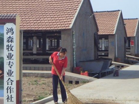諸城鴻森牧業(yè)合作社